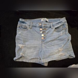 Judy Blue Shorts